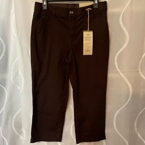 NWT Brown Cato Cropped Stretch Waist pants, Size 8.